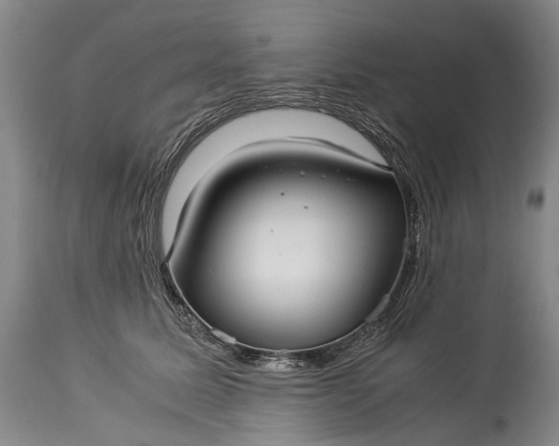 X0000115340611200911161833