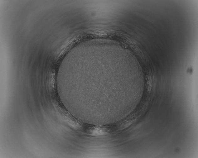 X0000115340612200911161833