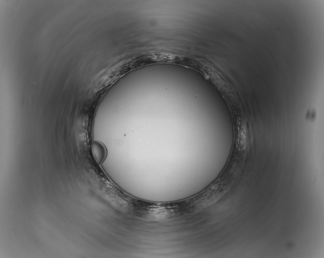 X0000115340616200911161833