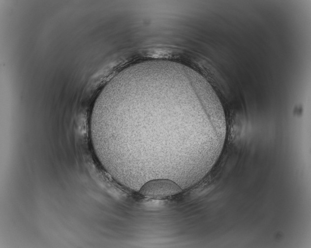 X0000115340620200911161833