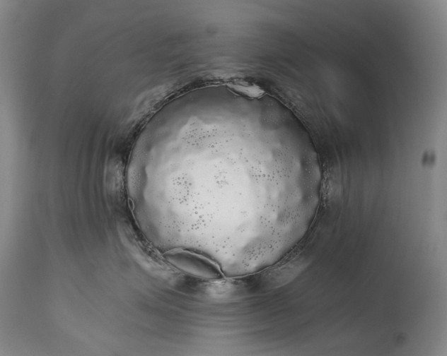 X0000115340623200911161833