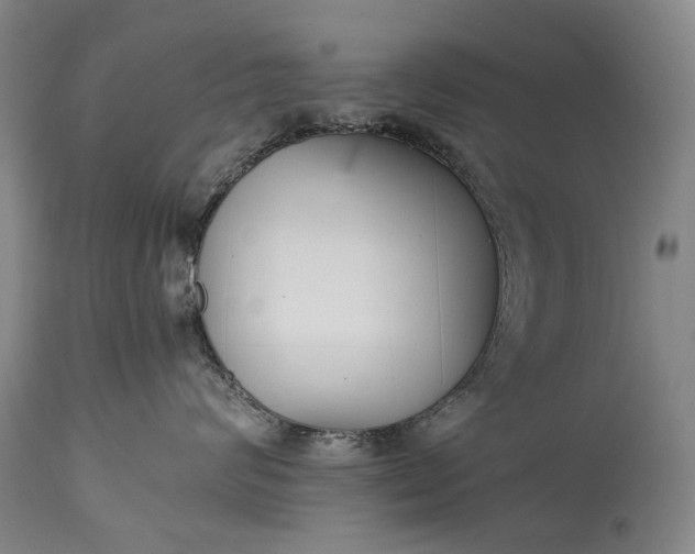 X0000115340624200911161833