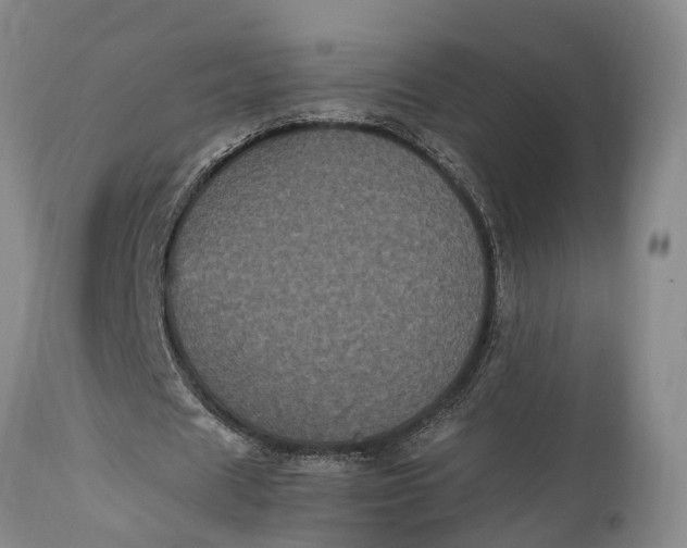 X0000115340625200911161832