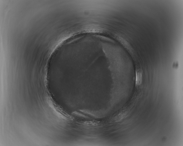 X0000115340627200911161832