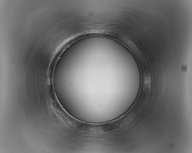 X0000115340628200911161832