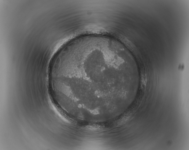 X0000115340630200911161832