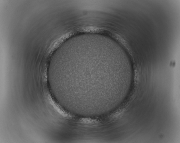 X0000115340633200911161833