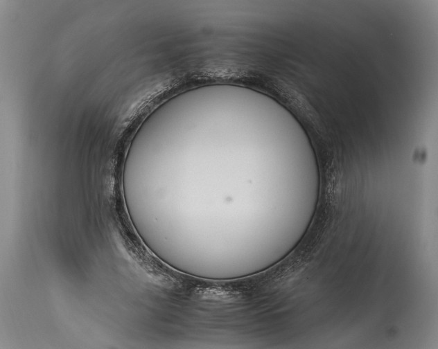 X0000115340635200911161833