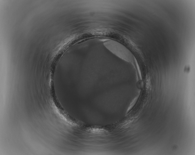 X0000115340637200911161833