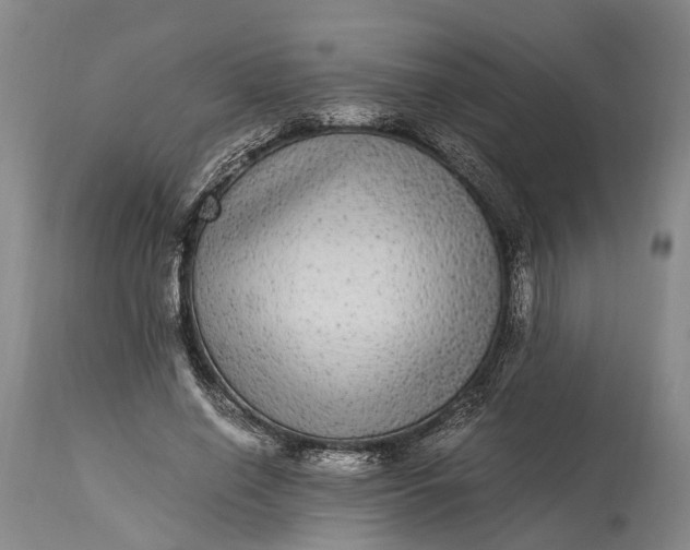 X0000115340638200911161833