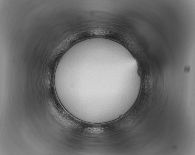 X0000115340639200911161833