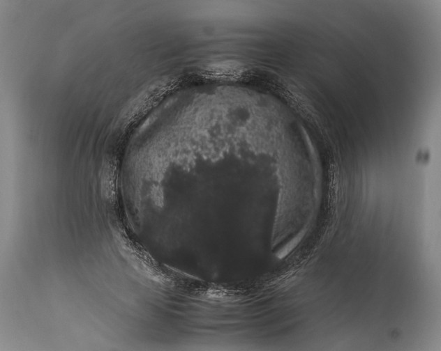 X0000115340641200911161833