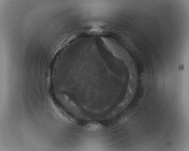 X0000115340642200911161833