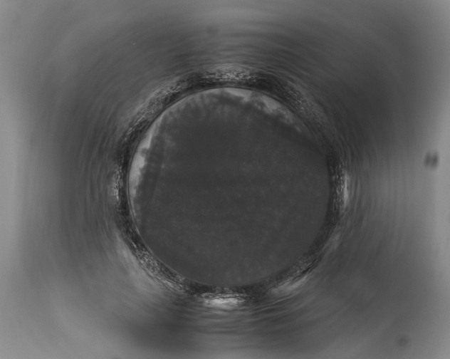 X0000115340643200911161833