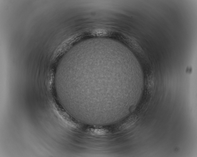 X0000115340645200911161833