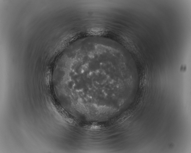 X0000115340647200911161833