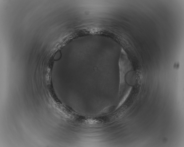 X0000115340650200911161833