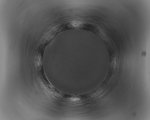 X0000115340651200911161833