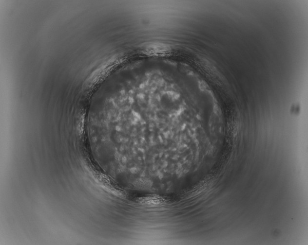 X0000115340652200911161833