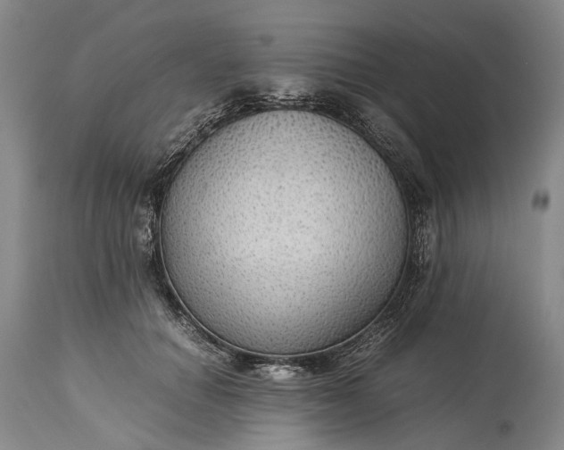 X0000115340654200911161833