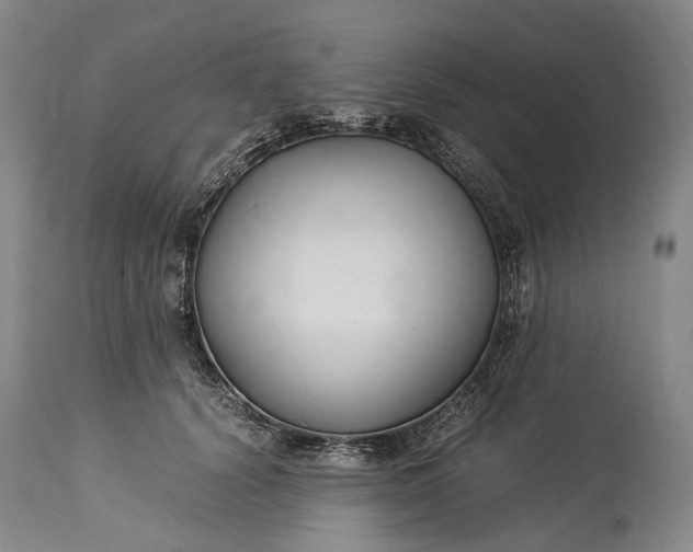 X0000115340656200911161833