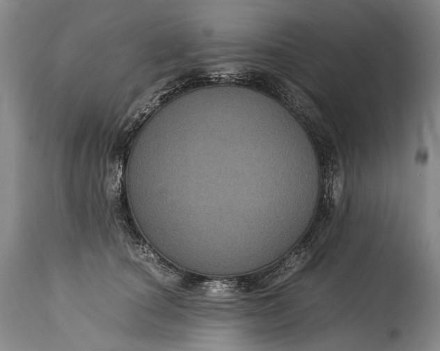 X0000115340660200911161833