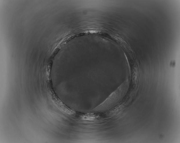 X0000115340661200911161833