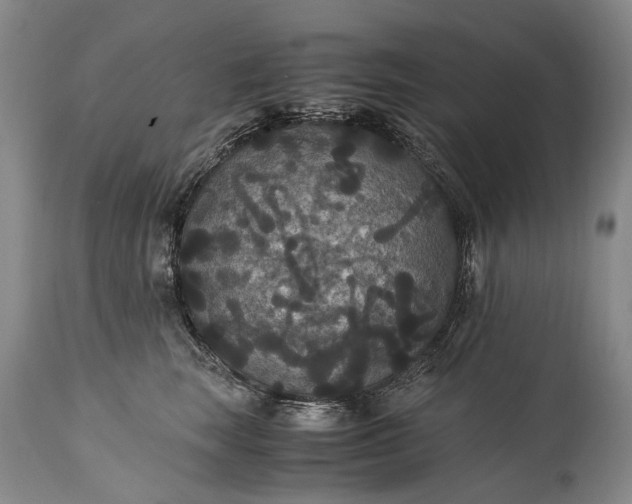 X0000115340663200911161833