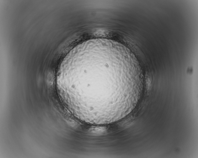 X0000115340665200911161833