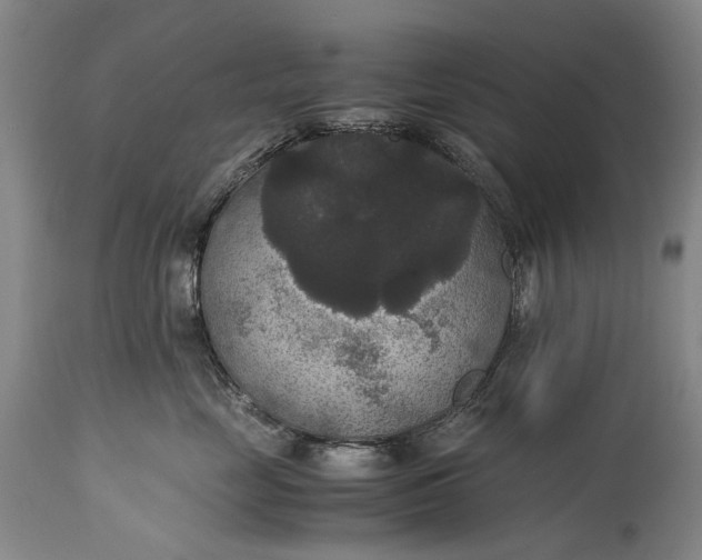 X0000115340669200911161833