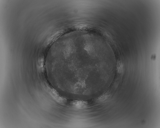 X0000115340670200911161833