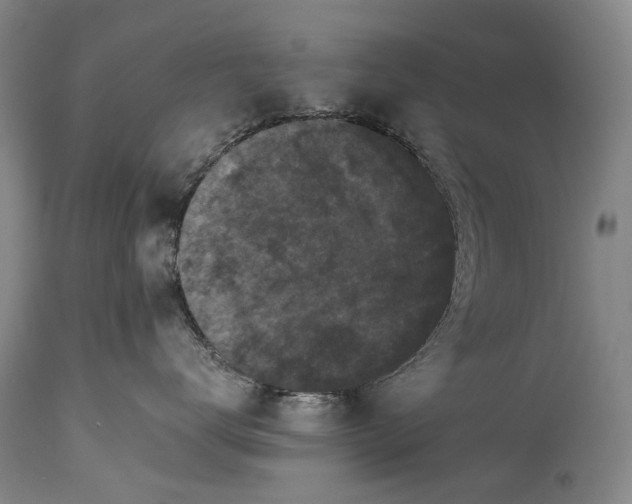 X0000115340672200911161833