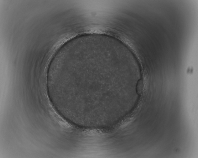 X0000115340673200911161832