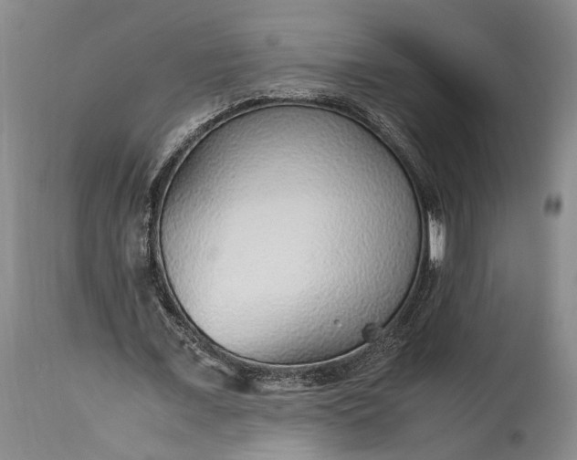 X0000115340675200911161832
