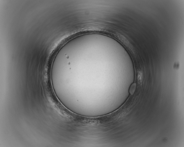 X0000115340676200911161832