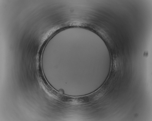 X0000115340678200911161832