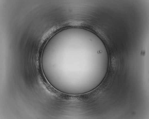X0000115340682200911161832