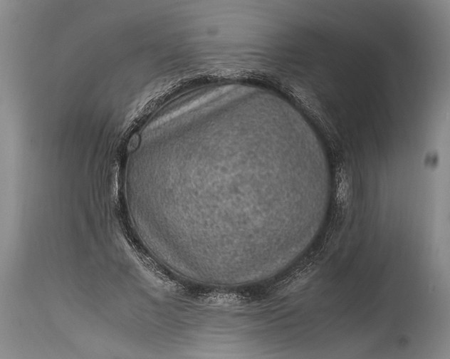 X0000115340685200911161832