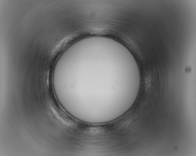 X0000115340686200911161832