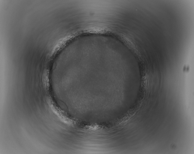 X0000115340688200911161832