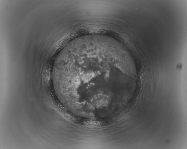 X0000115340691200911161832