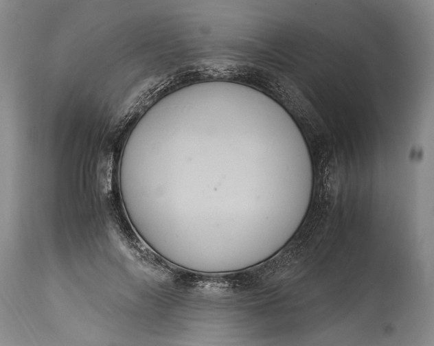 X0000115340694200911161832