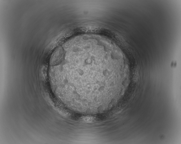 X0000115340695200911161832