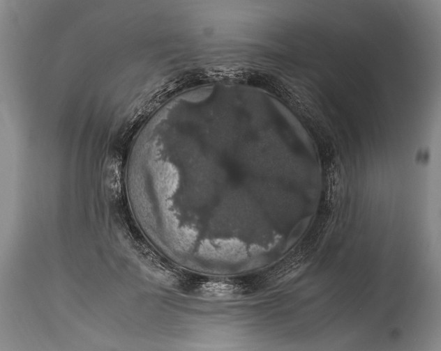 X0000115340699200911161832