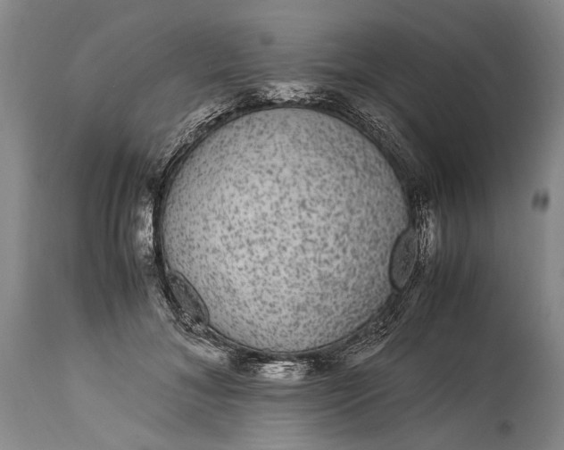 X0000115340700200911161832