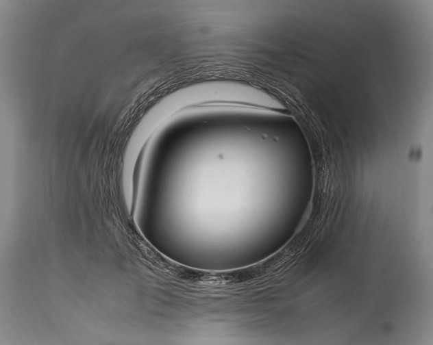 X0000115340701200911161832