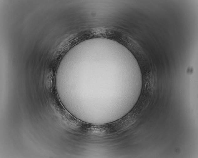 X0000115340702200911161832