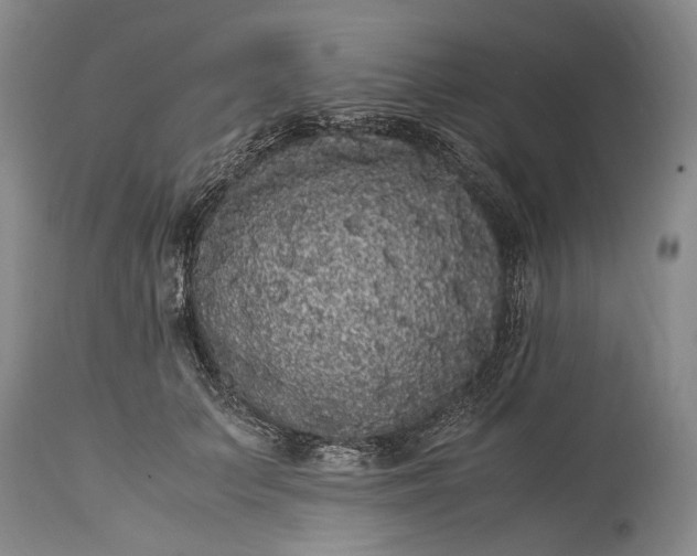 X0000115340703200911161832
