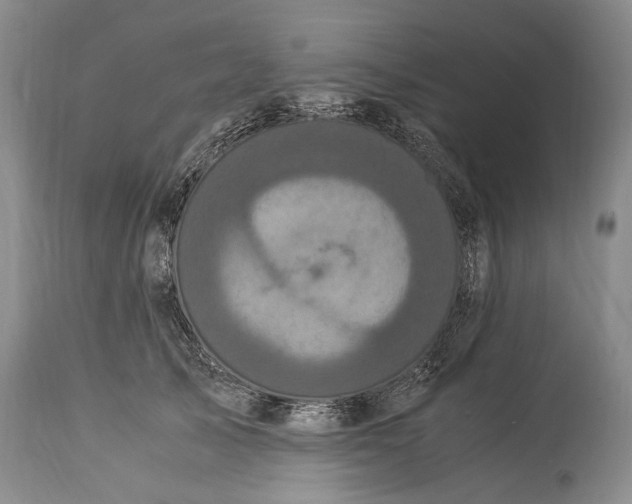X0000115340705200911161832