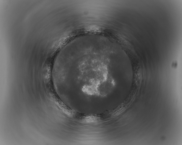X0000115340708200911161832